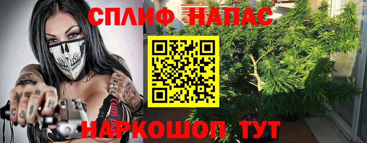 Марихуана план  Вход с VPN  Будённовск  Шишки марихуана семена 